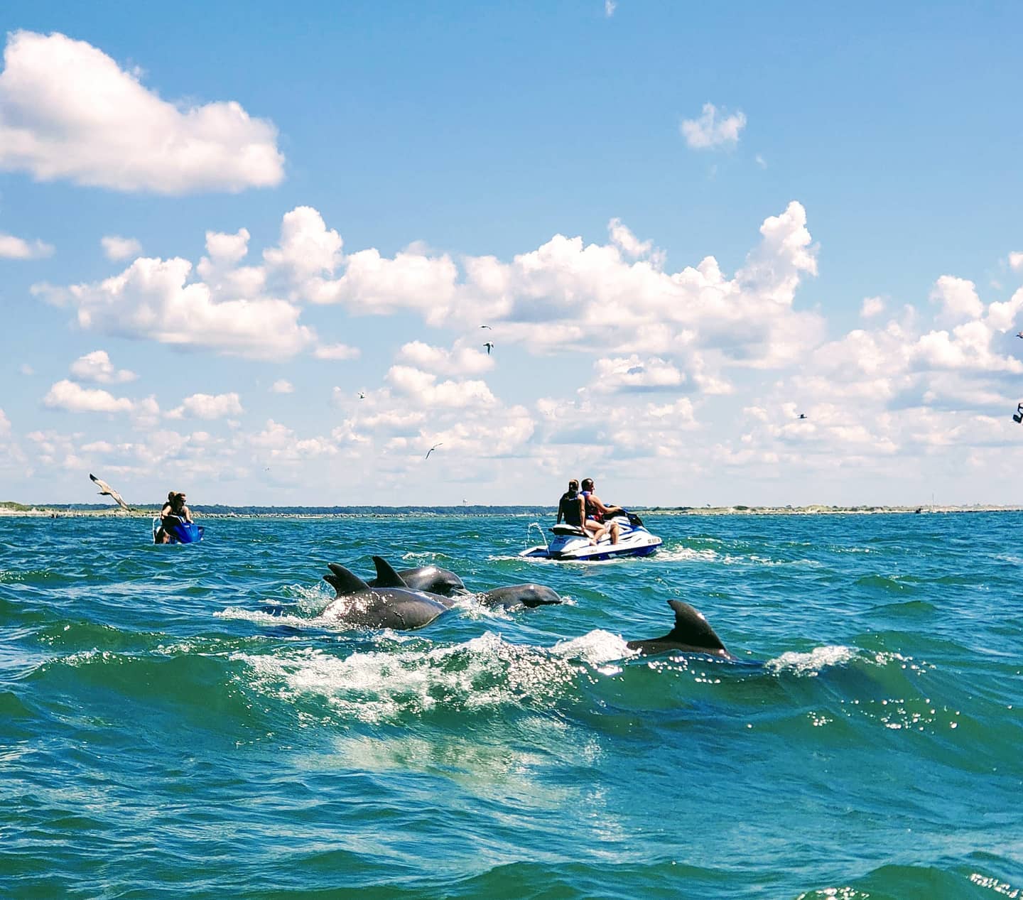 Aloha Watersports3
