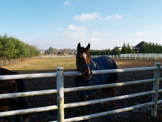 Gambler's Choice Equestrian Center6