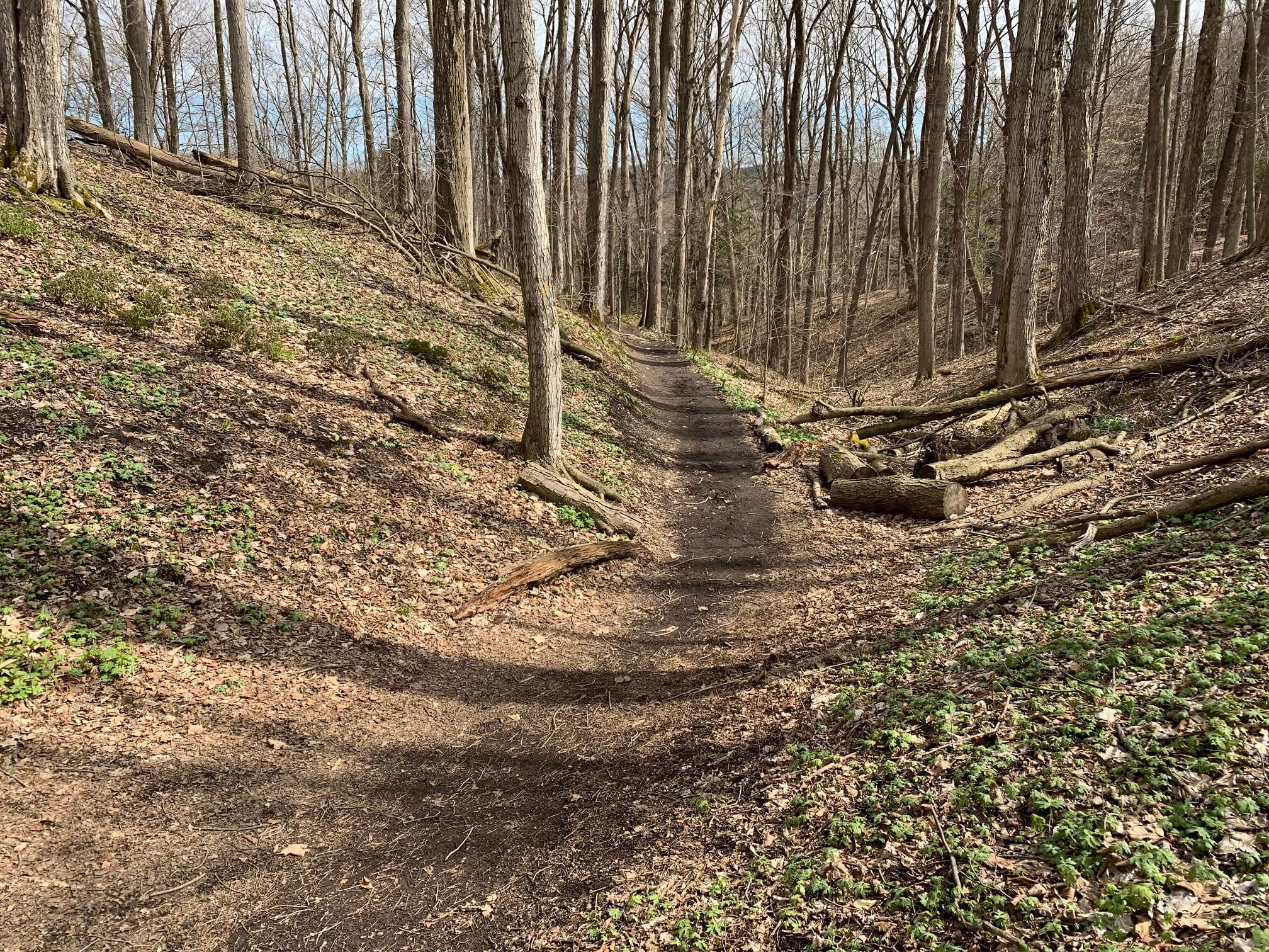 Baltimore Woods Nature Center 1 (1)