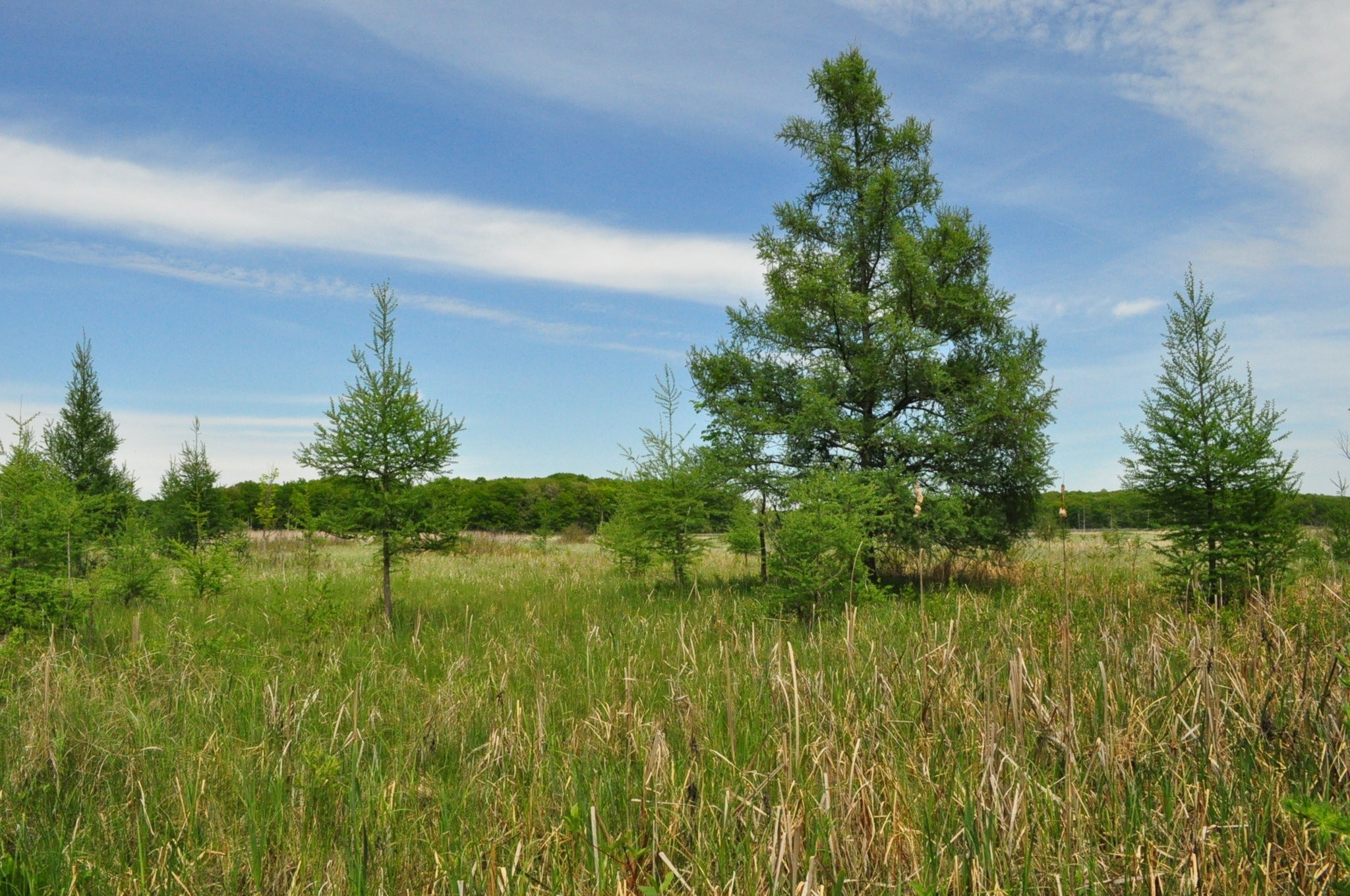 Bernard W. Baker Sanctuary