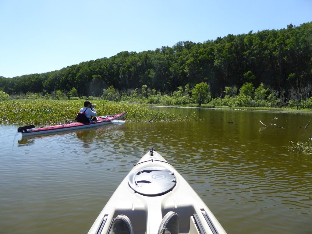 Newnans Lake 5