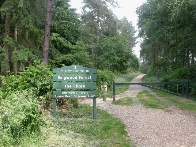 Ringwood 6