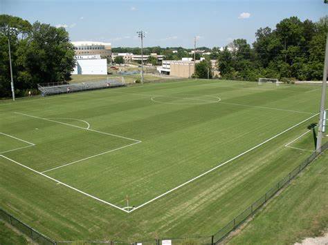 strassweg field.jpg