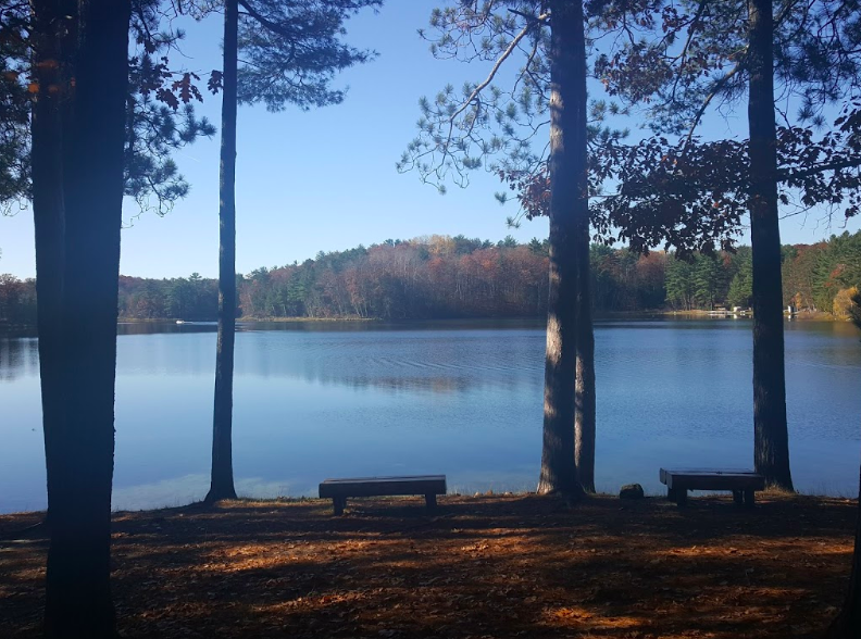 Arbutus Lake No. 5 Park 2