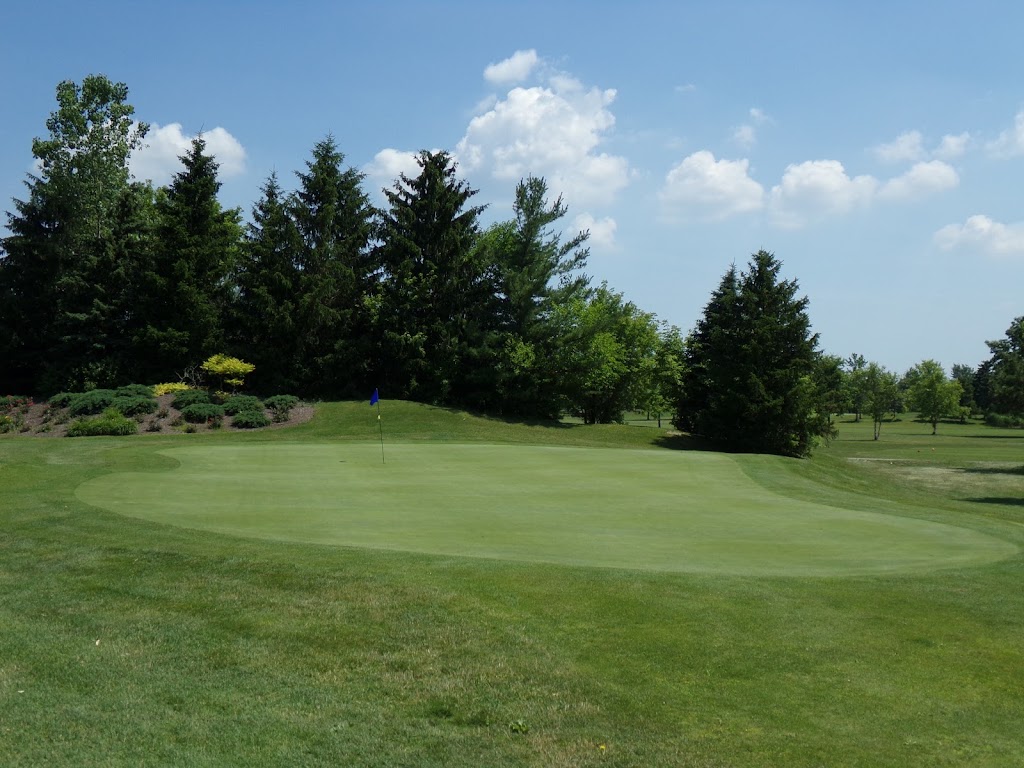 Bob-O-Link Golf Course 8