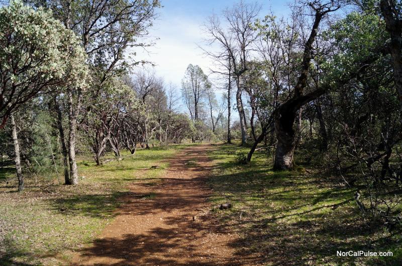Buckeye Park 2