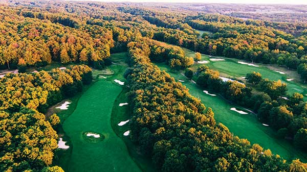 Treetops Resort 1
