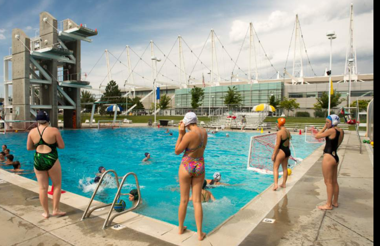 Dive pool with swimmers.png