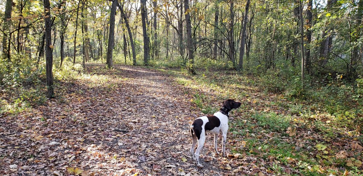 Donald Hackbarth Trail2