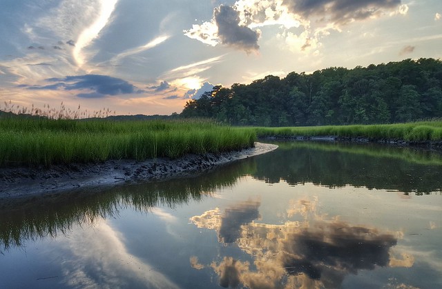 York River State Park 1