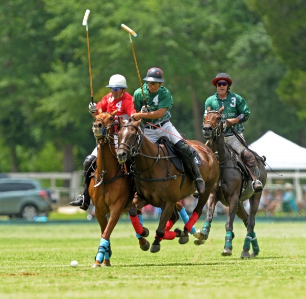 Edisto Polo Farm 2