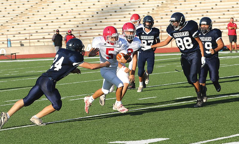 Wool Bowl Stadium4