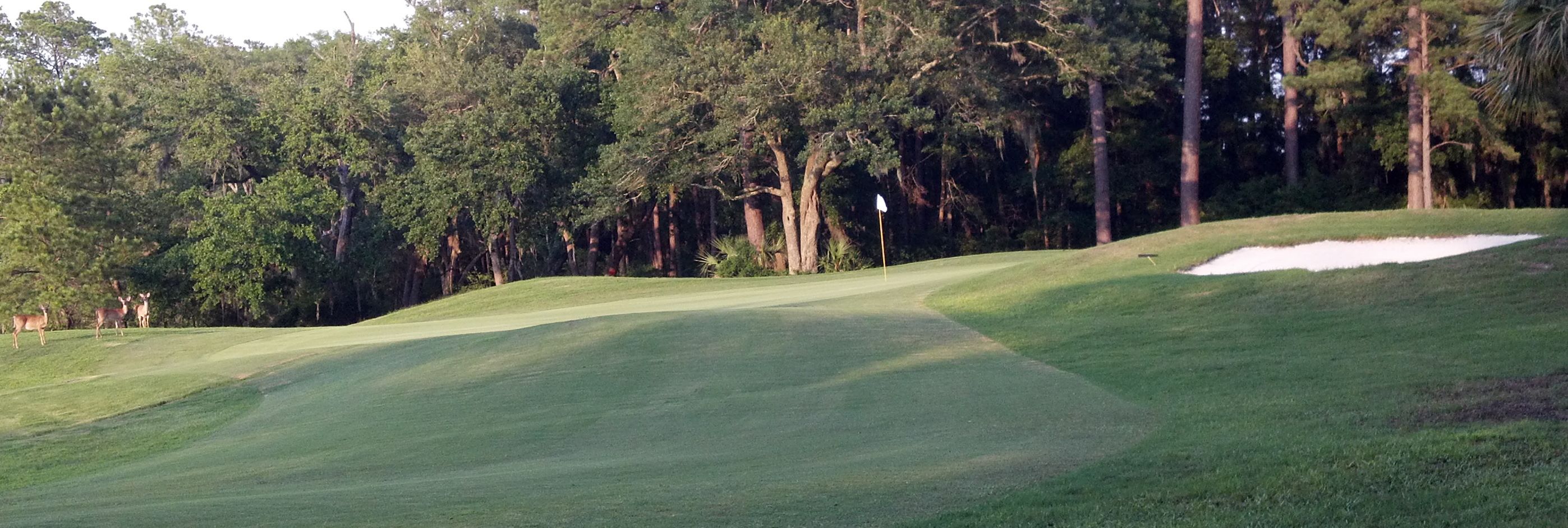 TGC at Pleasant Point Plantation 3