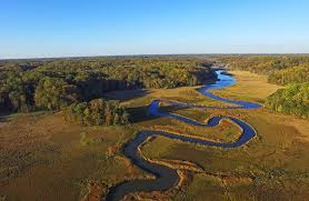 American Chestnut Land Trust- North Trail water