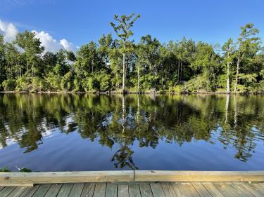 Sam Houston Jones State Park lake.jpeg
