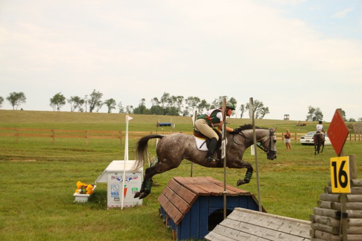 Virtue Stables3