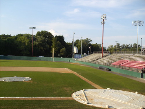 Beehive Field 3