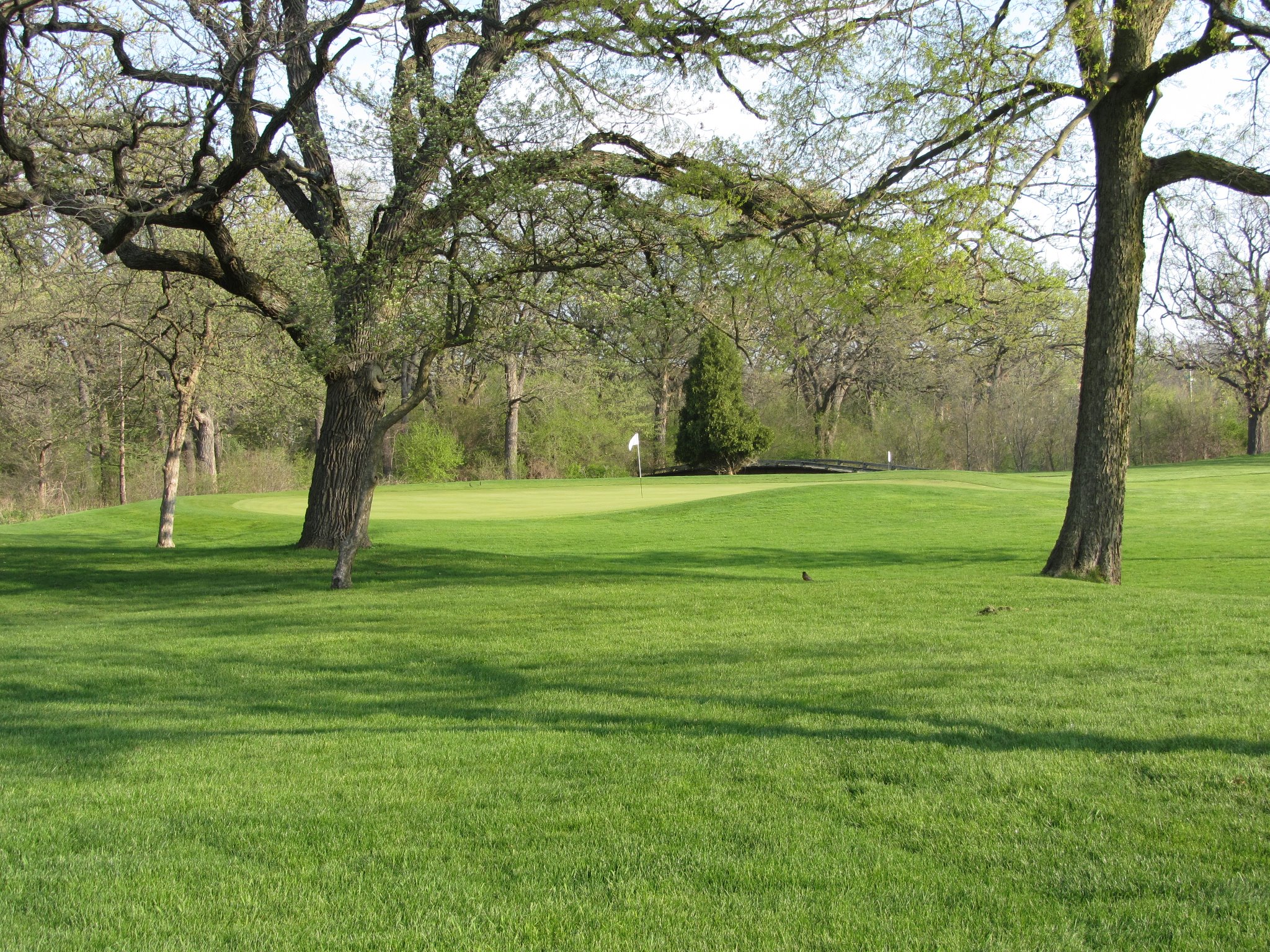 Blackhawk Golf Course7