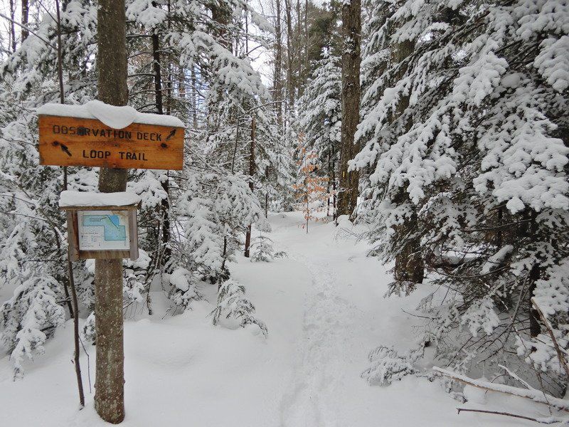 Kehl Lake Natural Area4
