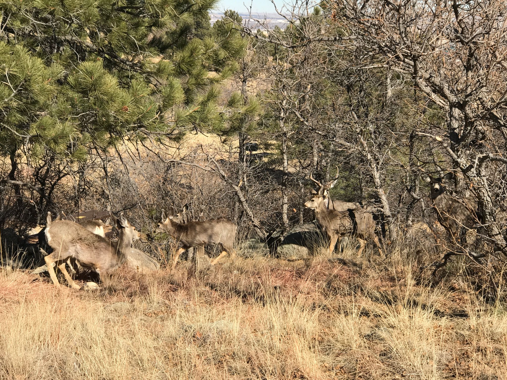 Cheyenne Mountain State Park6