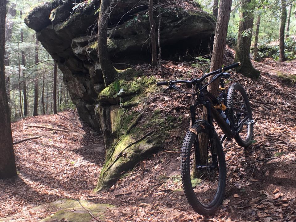 STA  BIKE POSE.jpg