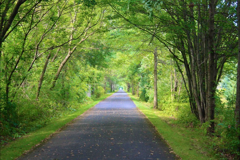 Trail 2