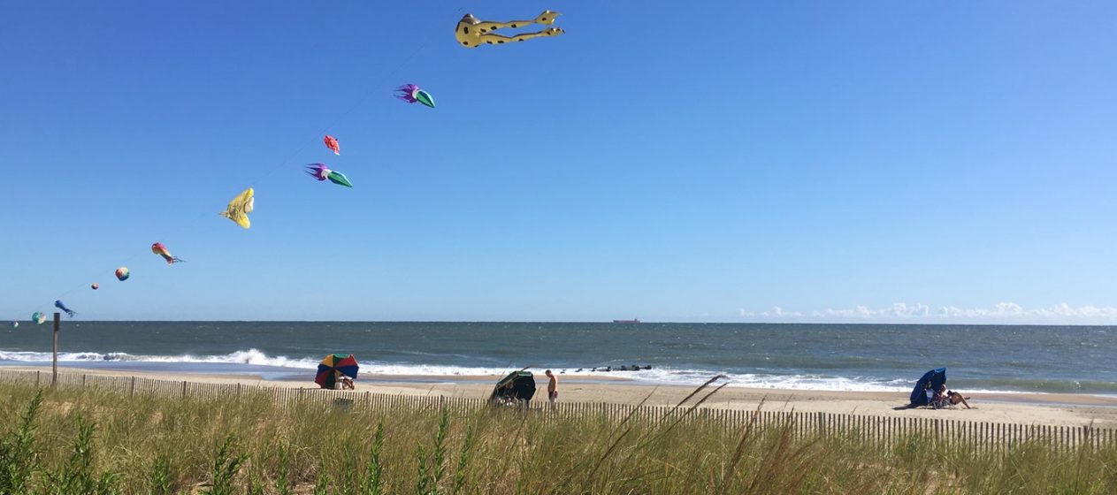delaware-delaware-seashore-state-park_5b8d8722e047a2c602c064adfef0582c-1263x560