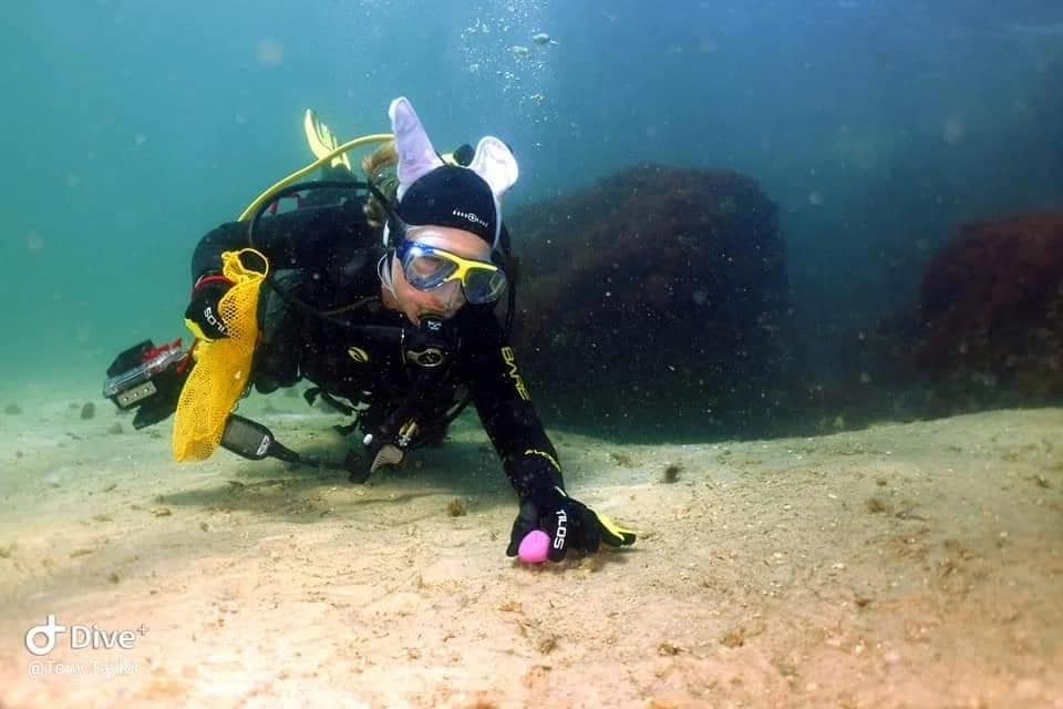 Aquatic Adventures of MI 5