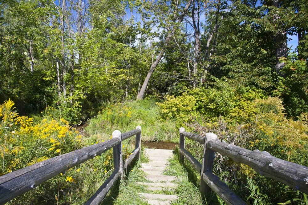 Kid's Creek Park4