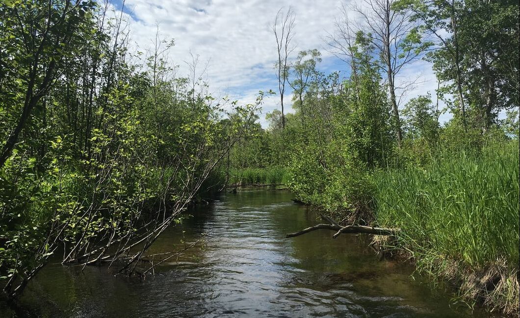 Upper Herring Lake Nature Preserve 4