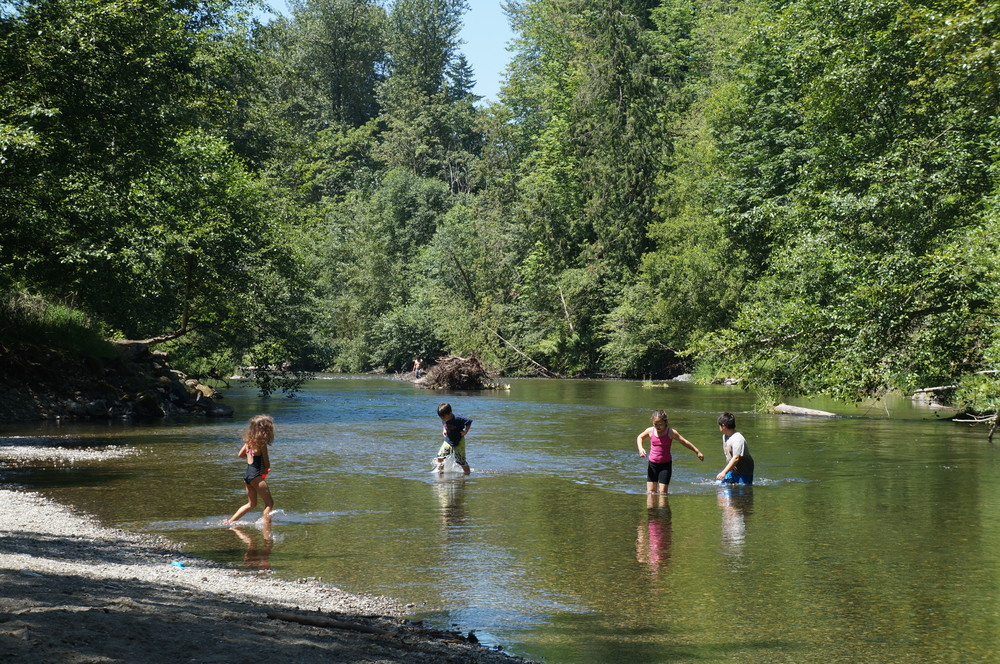 Cedar River Natural Area 6