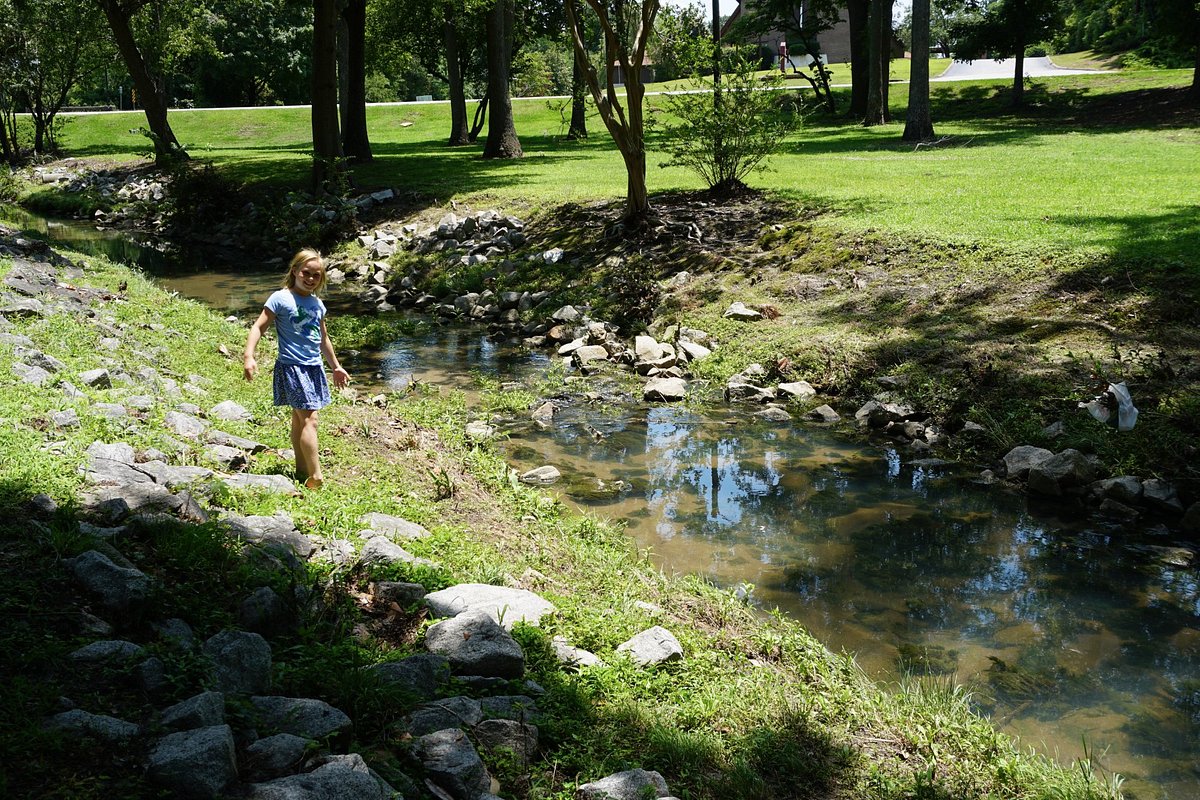 Timrod Park - Trail2