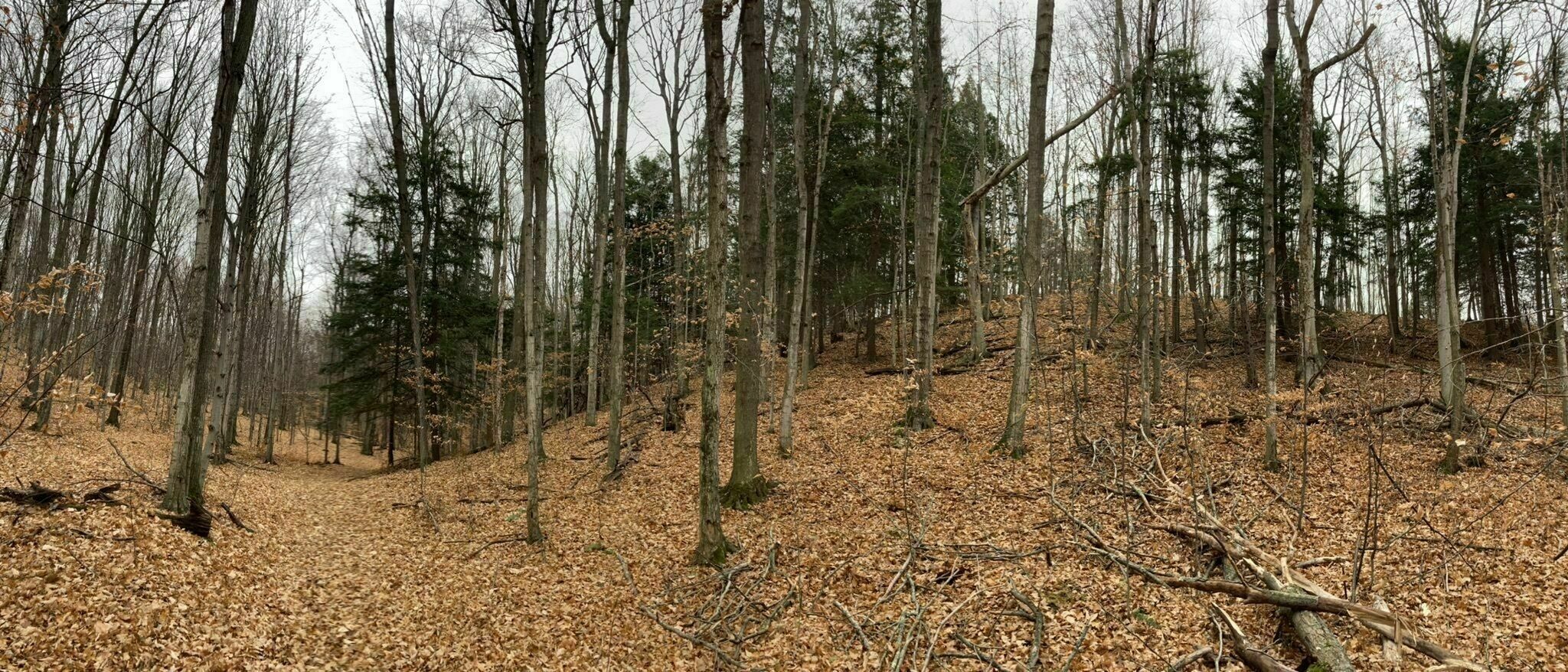 Fruithaven Nature Preserve7