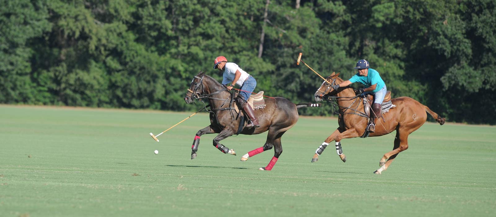 Aiken Polo Club3