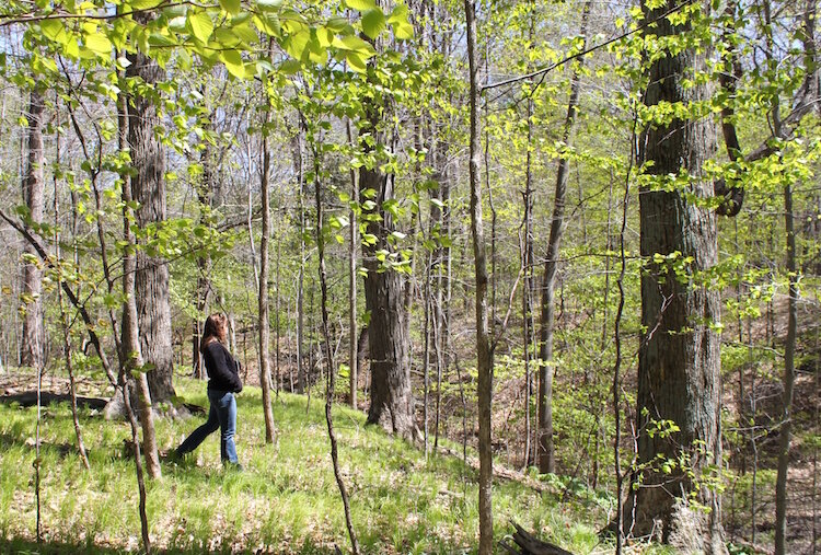 Wau-Ke-Na, William Erby Smith Preserve8