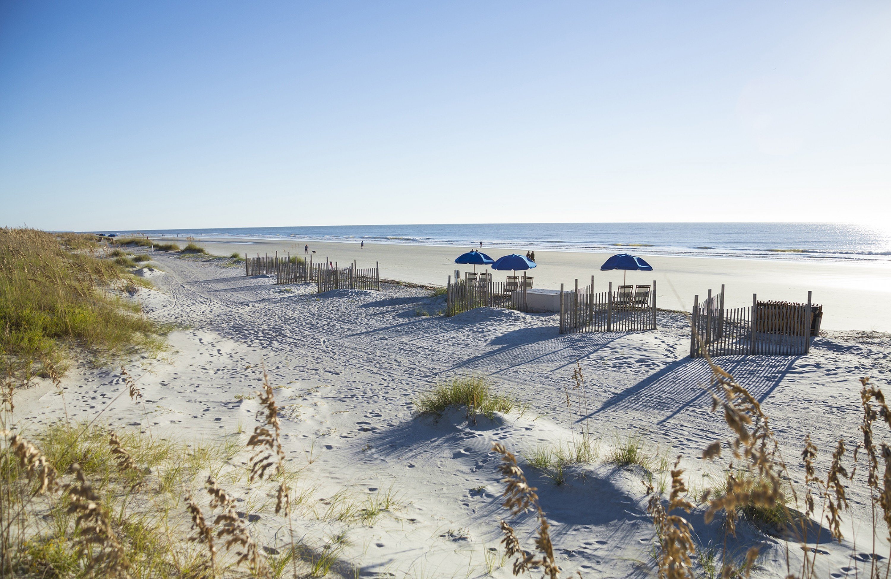 Palmetto Dunes Oceanfront Resort Golf - Beach View