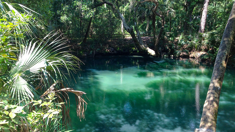 Green Springs Park9