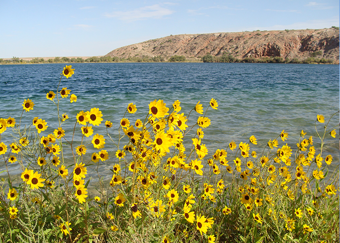Bottomless Lakes State Park 5