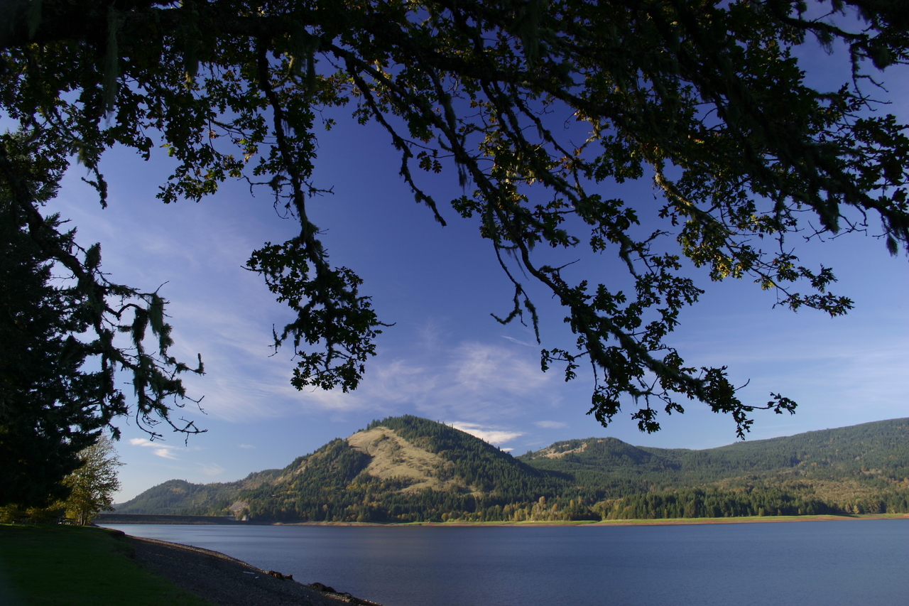 Dorena Lake6