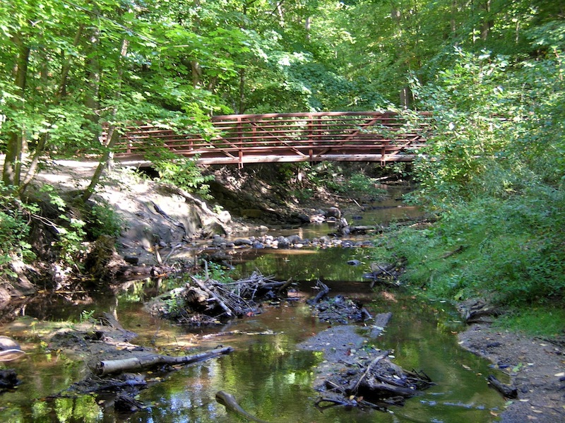 Sanctuary Woods Preserve 3