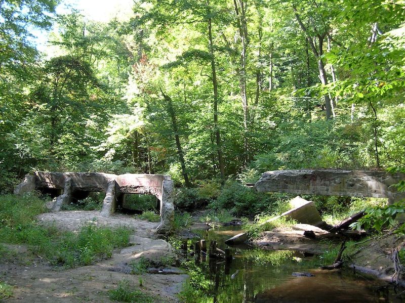 Sanctuary Woods Preserve 5