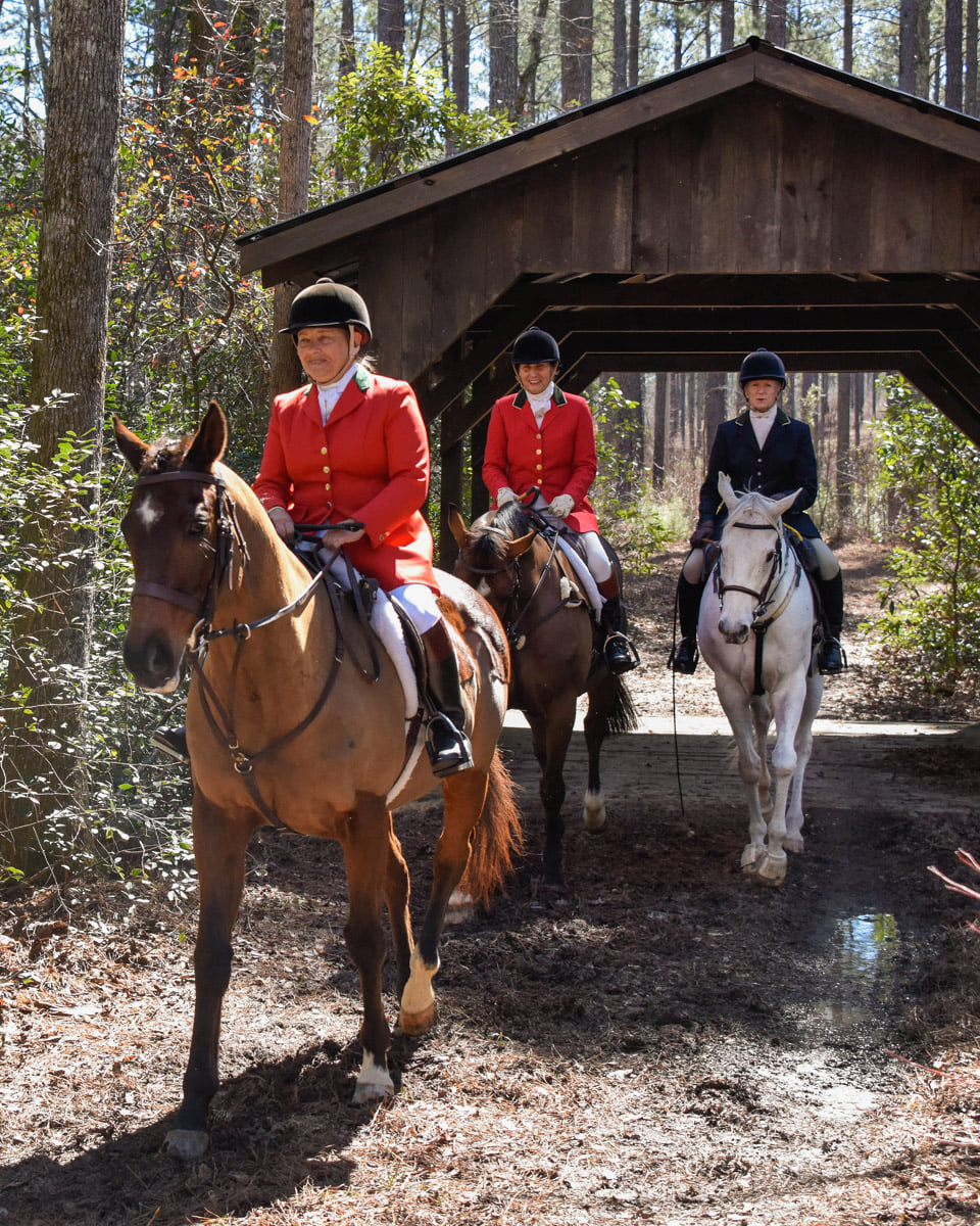 Whiskey Road Foxhounds 5