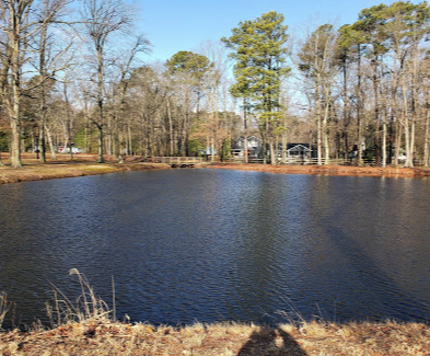Prospect Bay 4