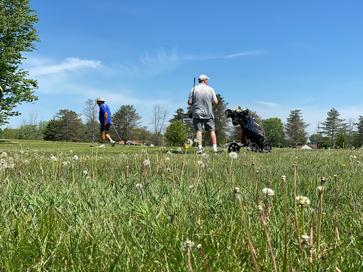 Pheasant Run Lagrange Golf2