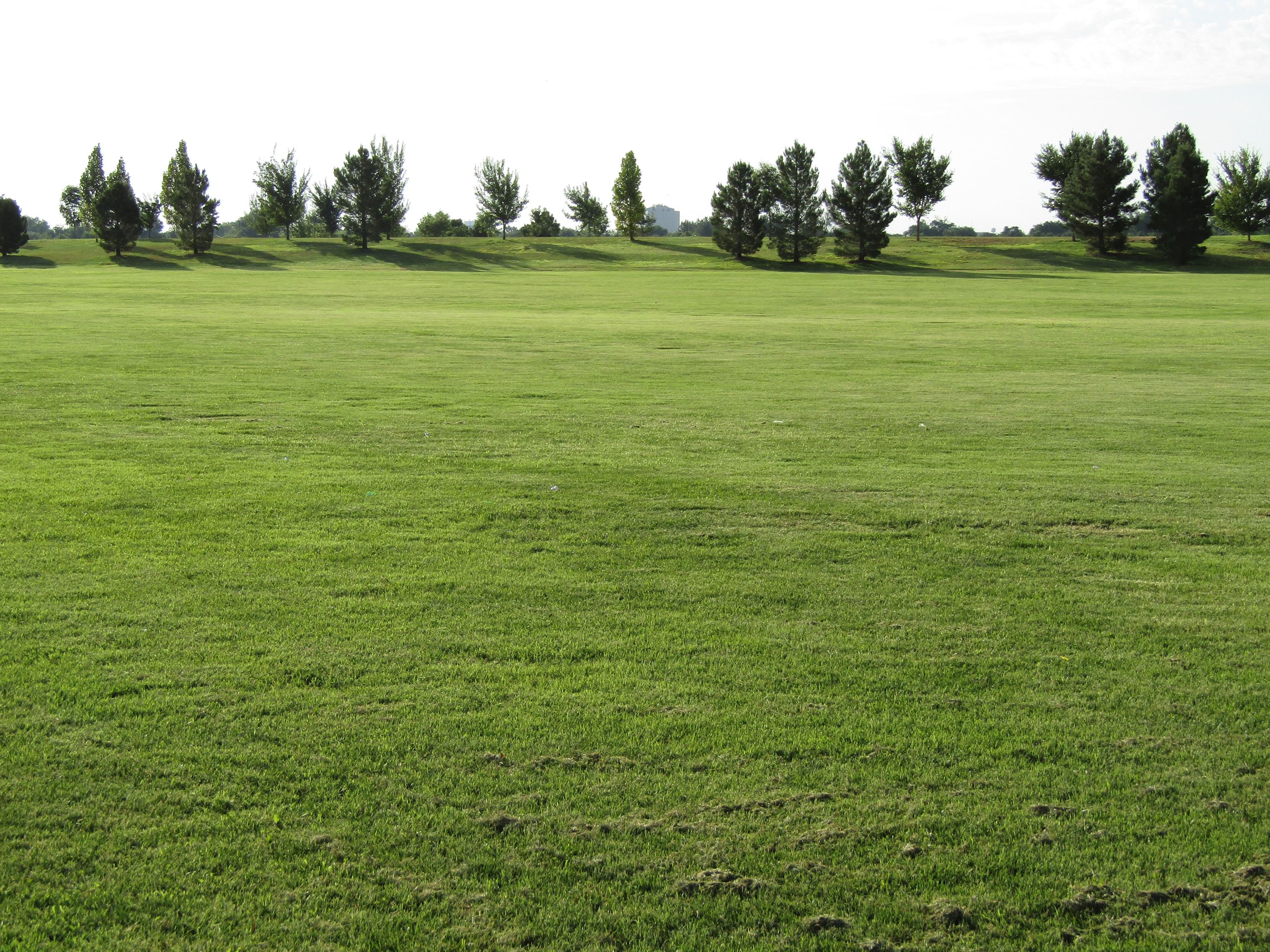 Cielo Grande Recreation Area 4