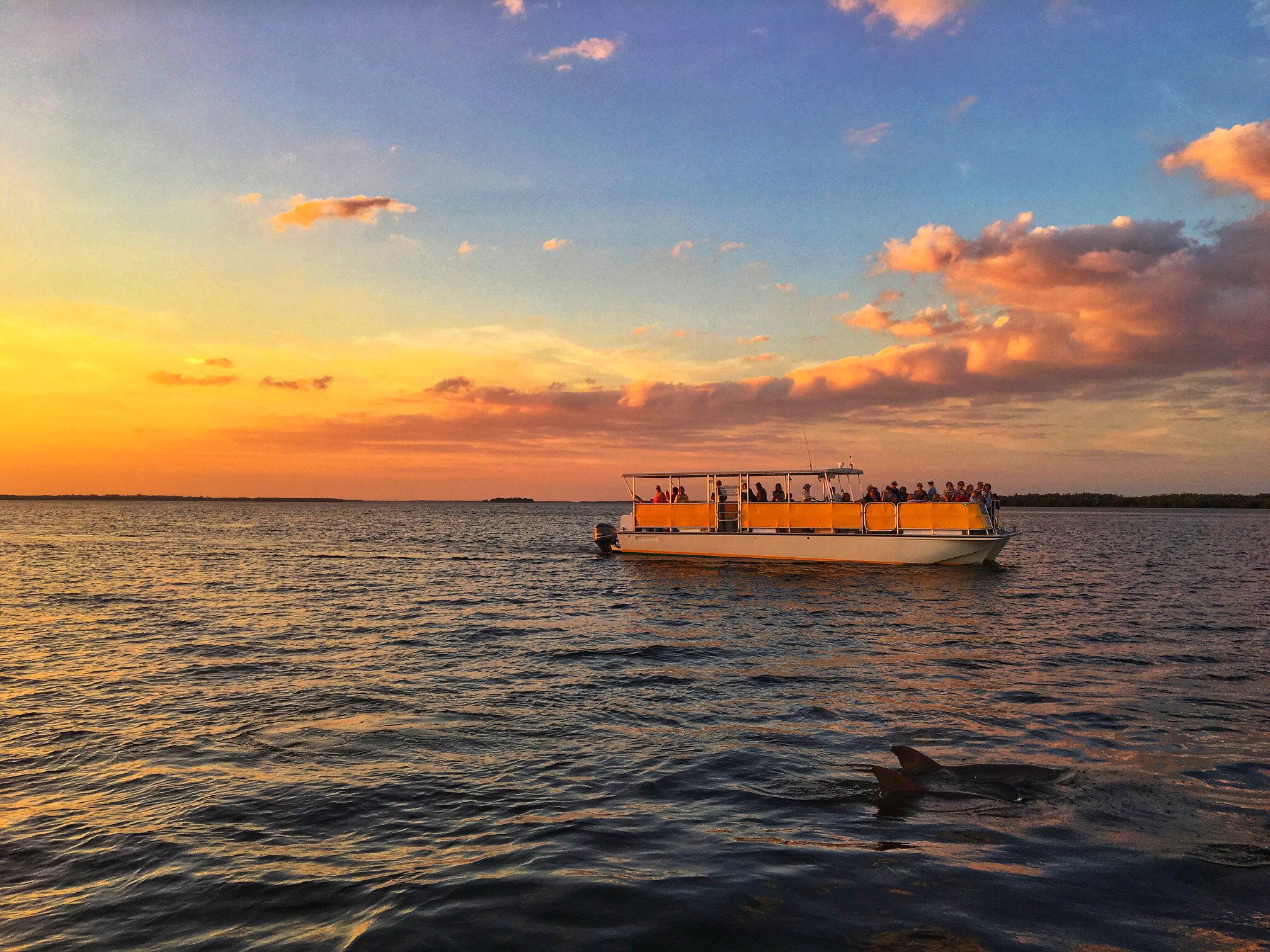 Adventures in Paradise Boat Cruises & Tours 3