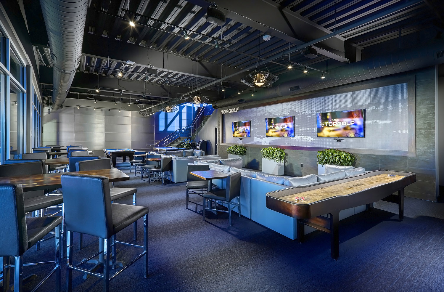 Topgolf 6