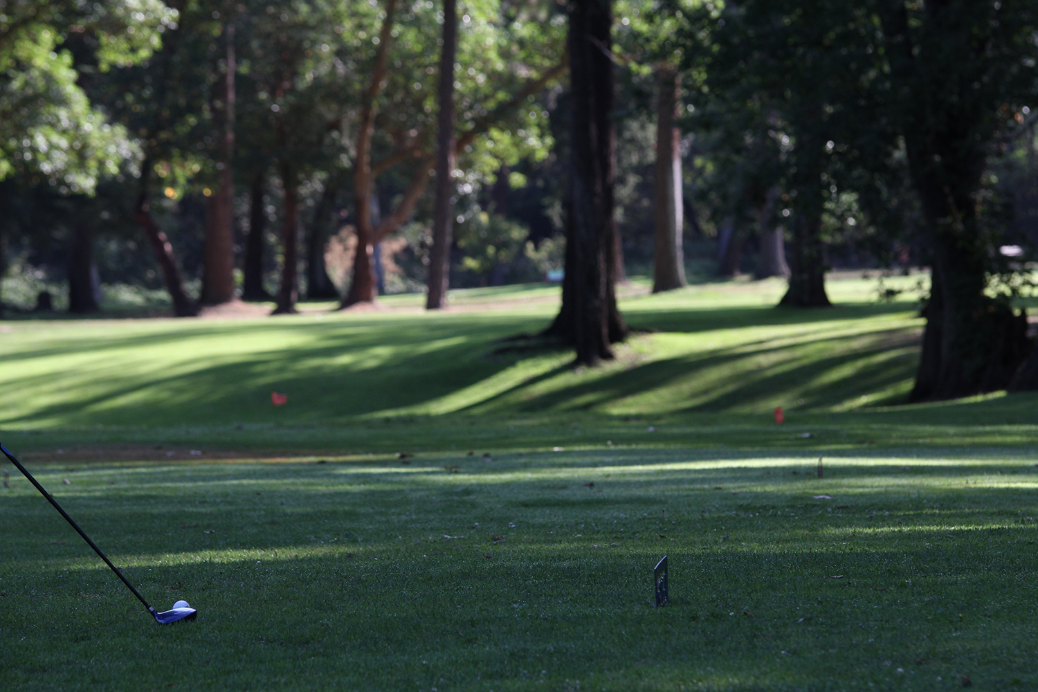 Laurel Hill Golf Course7