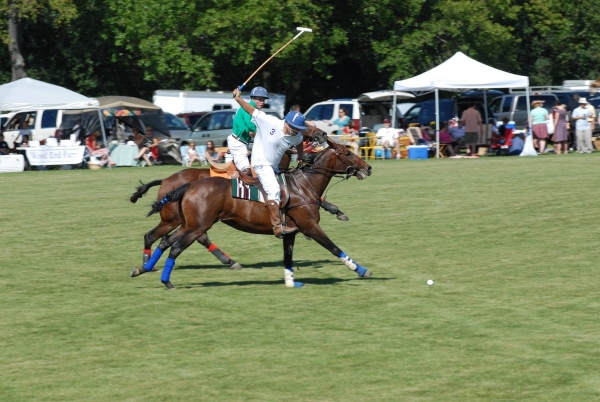 Edisto Polo Farm 5