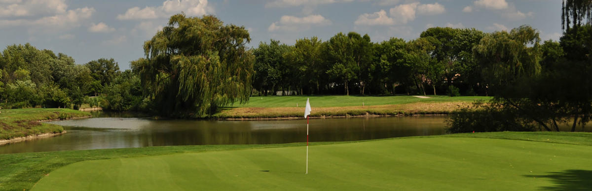 White Pines 1.jpeg